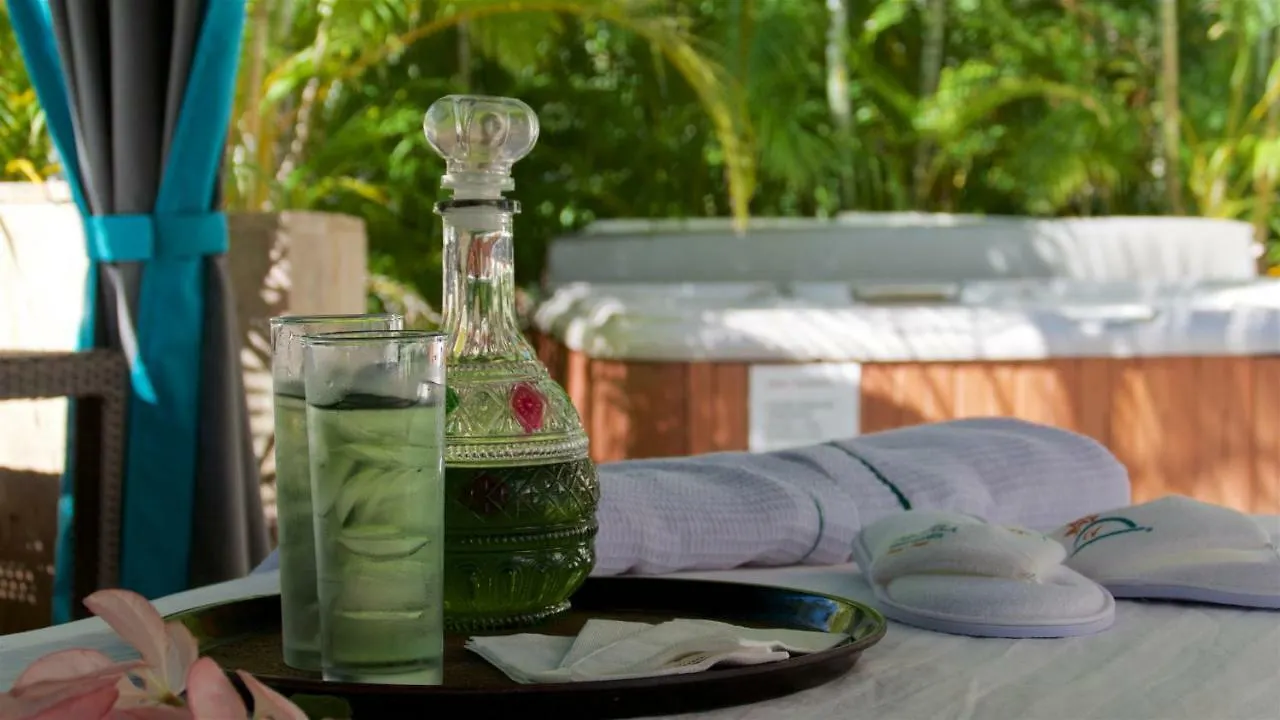Casa Cupula Luxury Lgbt Boutique Hotel Puerto Vallarta